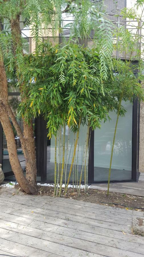 Les Aromatiques - Terrasse & Parking Prive A Villeneuve Les Avignon - Proche Golf Academy Экстерьер фото